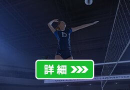 バレーボール